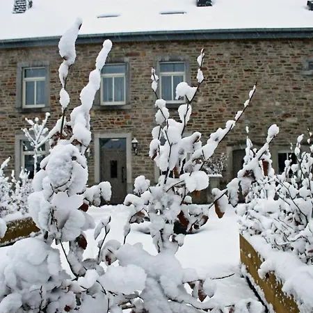 Le Tapis Rouge Bed & Breakfast Vielsalm