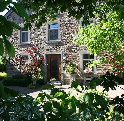 Le Tapis Rouge ヴィエルサルム