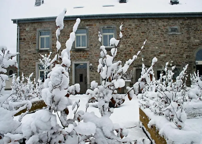 Le Tapis Rouge Bed & Breakfast Vielsalm